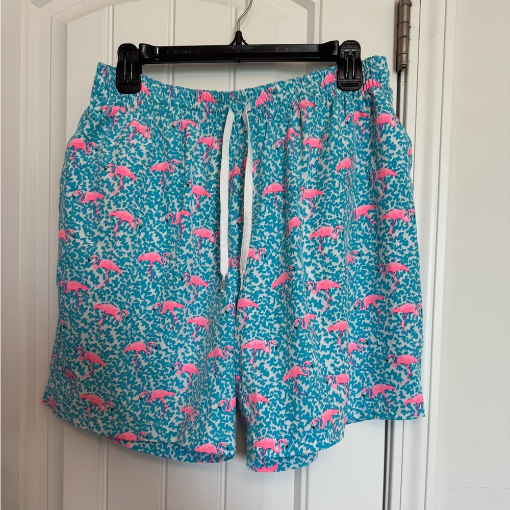 Chubbies Teal and Pink Patterned Shorts